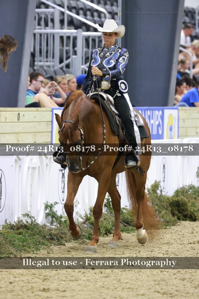 Proof Number 24R13_08178