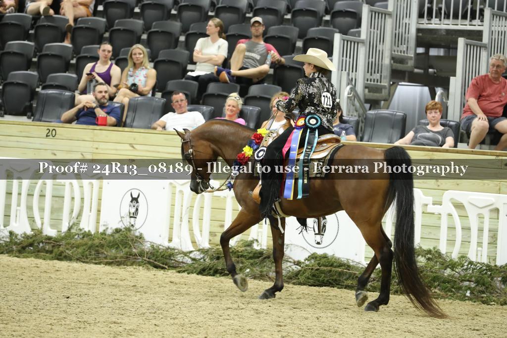 Proof Number 24R13_08189