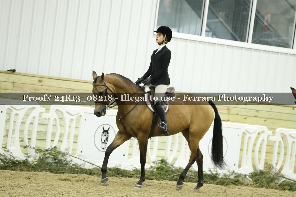 Proof Number 24R13_08218