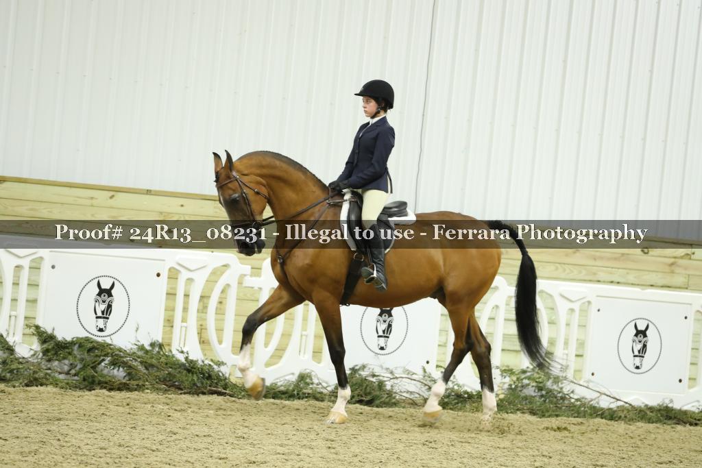 Proof Number 24R13_08231