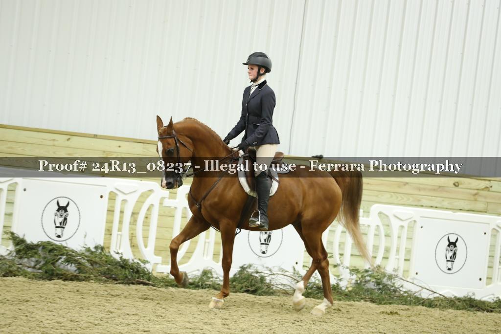 Proof Number 24R13_08237