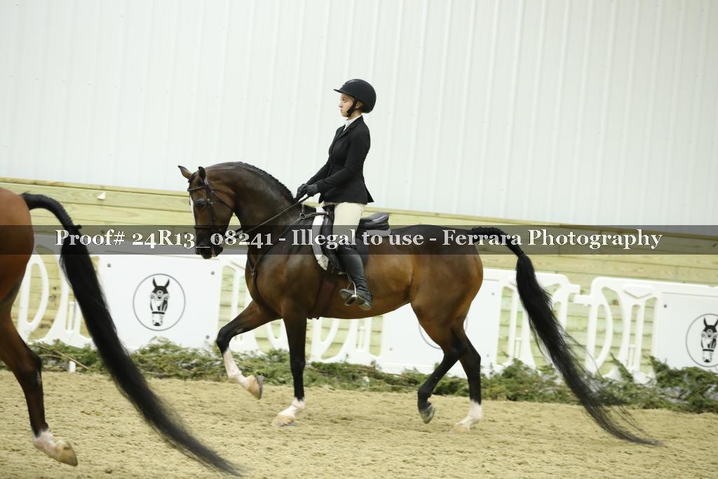 Proof Number 24R13_08241