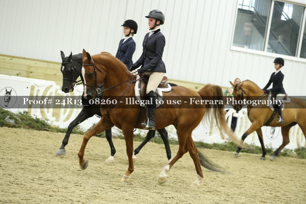 Proof Number 24R13_08260