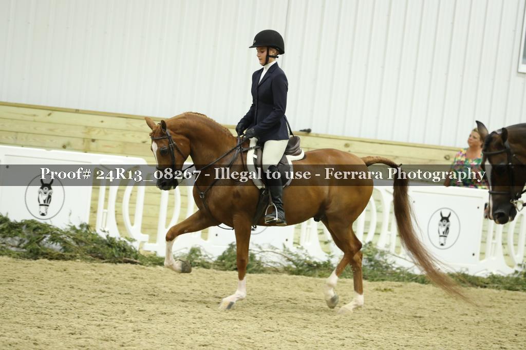Proof Number 24R13_08267