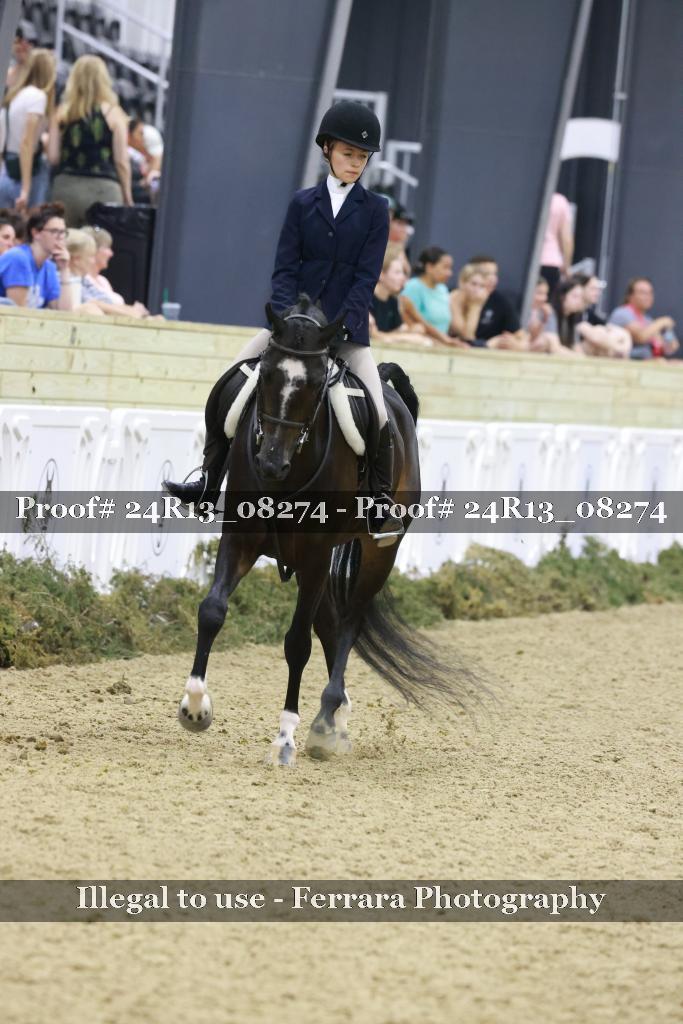 Proof Number 24R13_08274