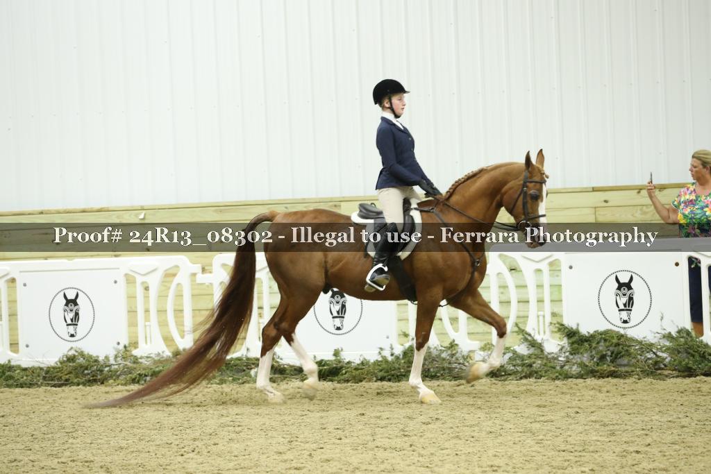 Proof Number 24R13_08302