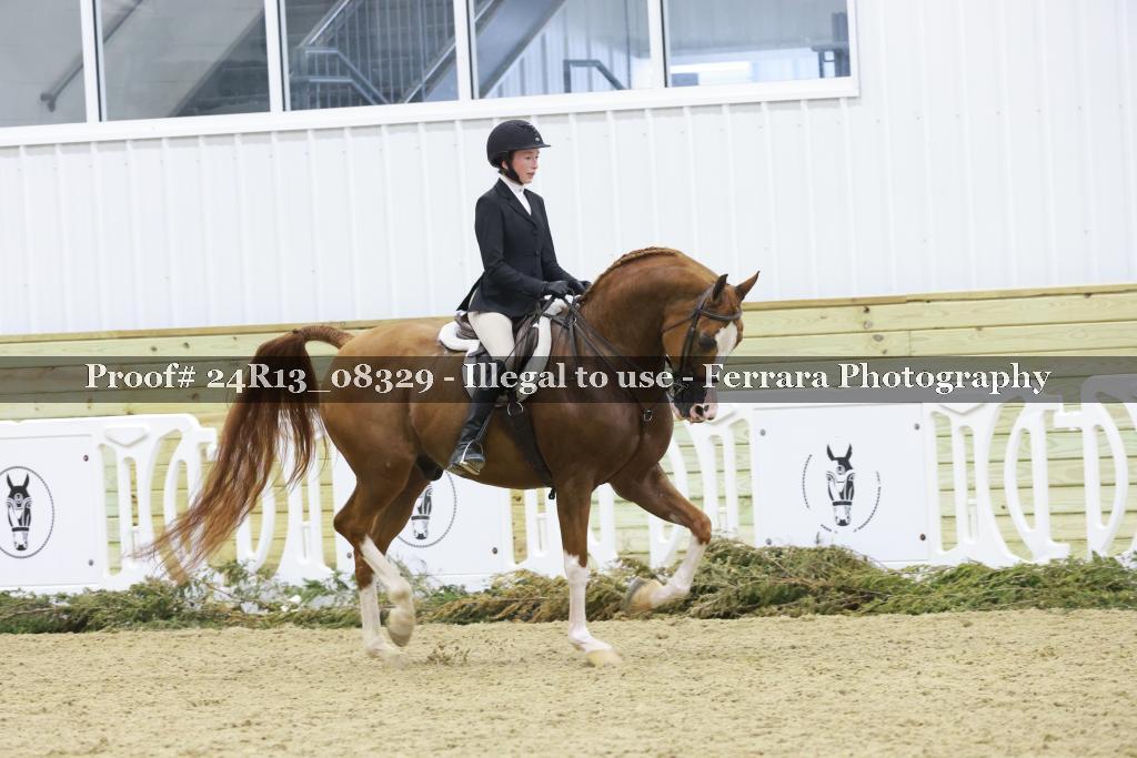 Proof Number 24R13_08329