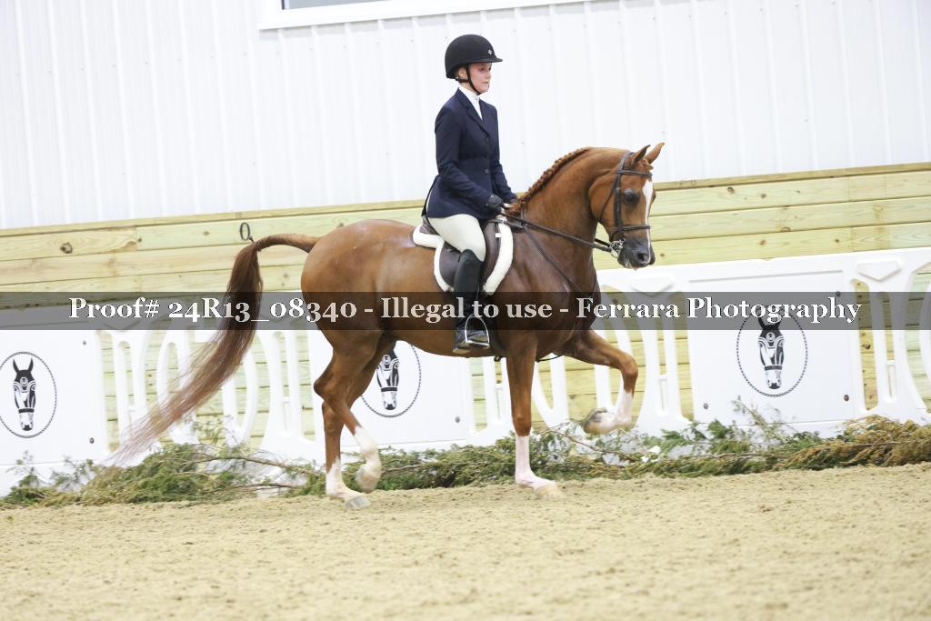 Proof Number 24R13_08340