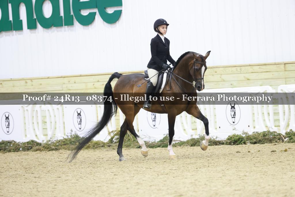 Proof Number 24R13_08374