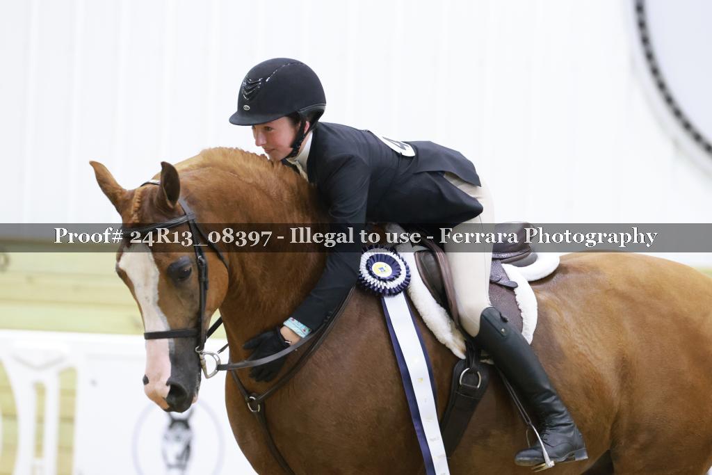 Proof Number 24R13_08397