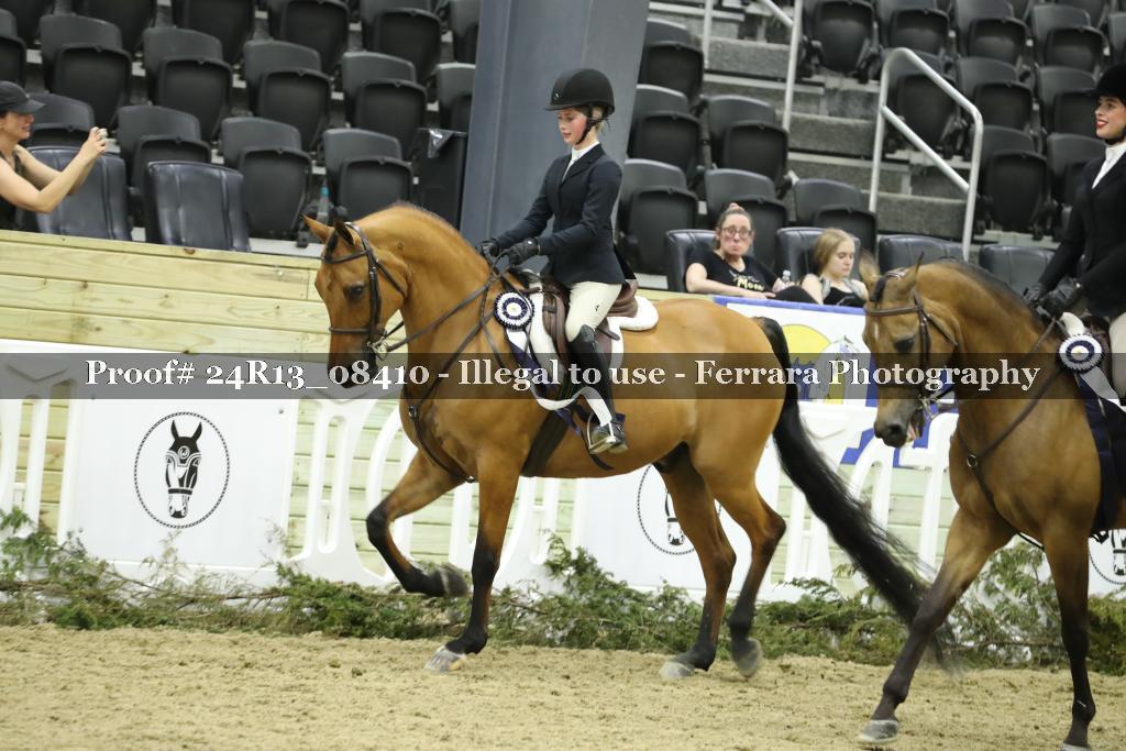 Proof Number 24R13_08410