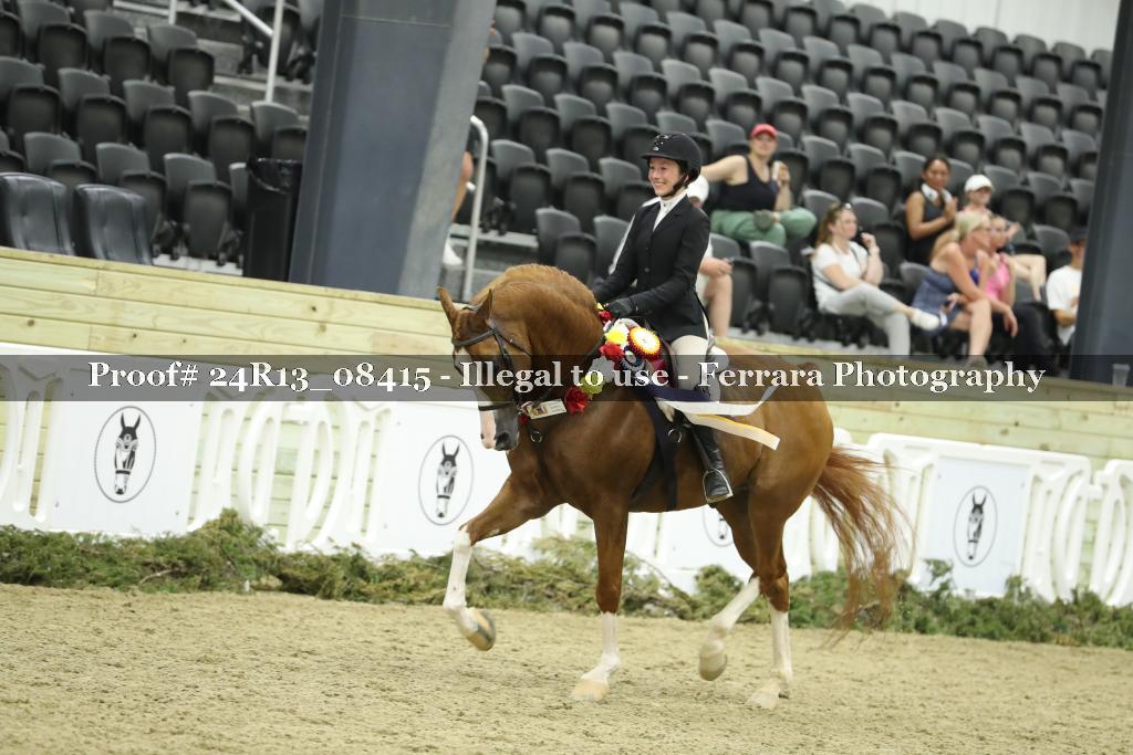Proof Number 24R13_08415