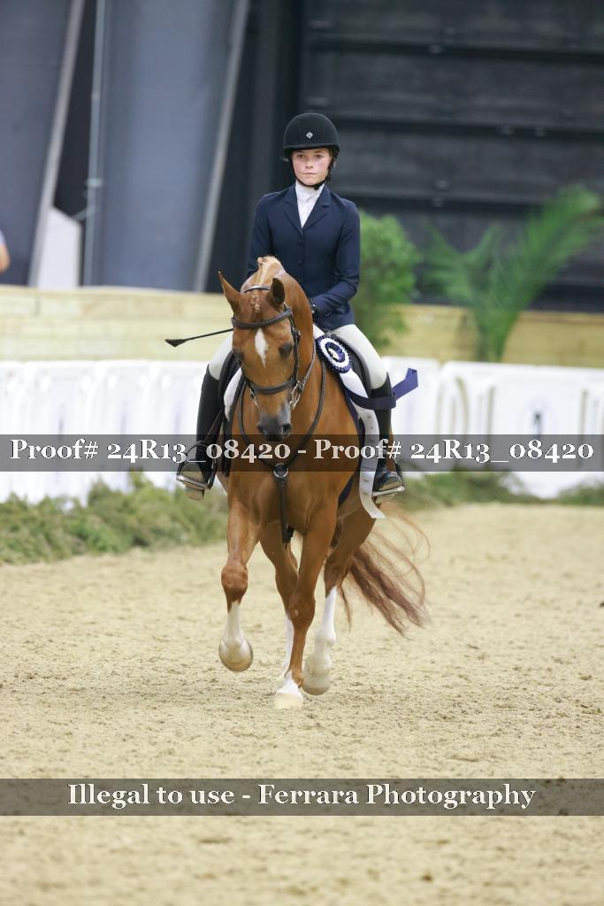 Proof Number 24R13_08420
