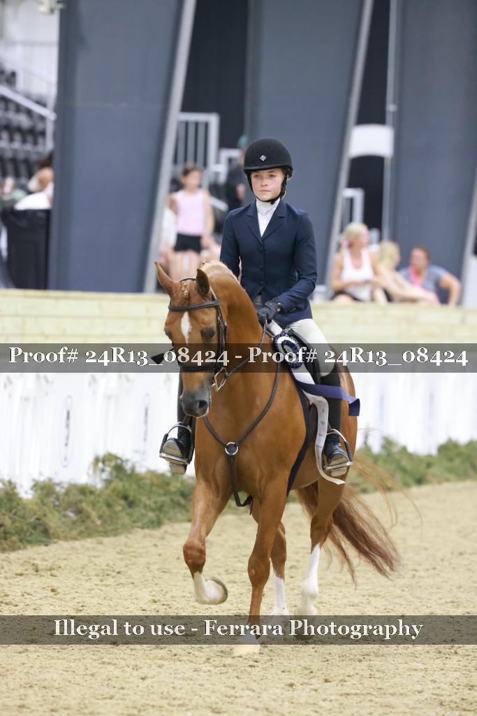 Proof Number 24R13_08424