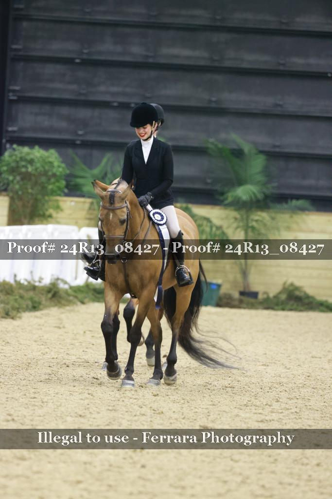 Proof Number 24R13_08427