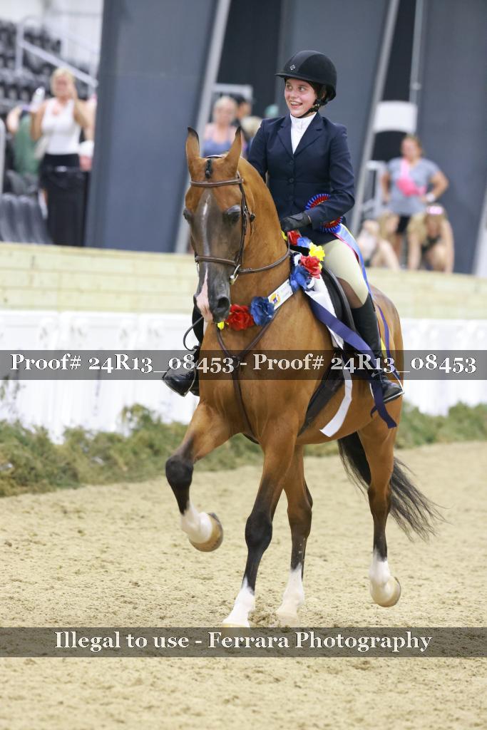 Proof Number 24R13_08453