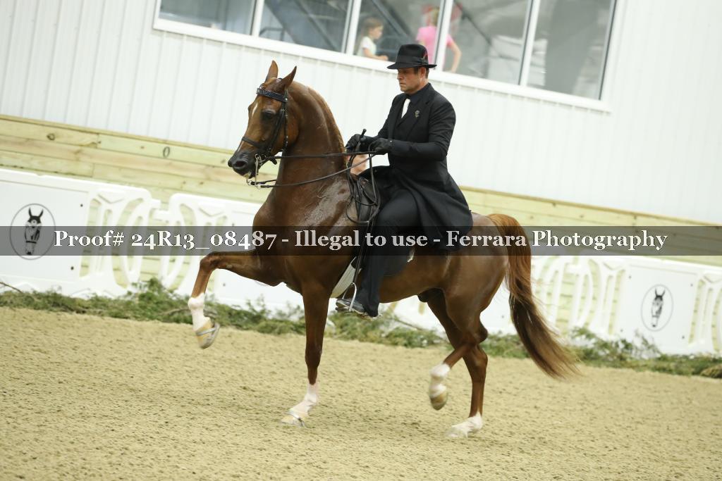 Proof Number 24R13_08487