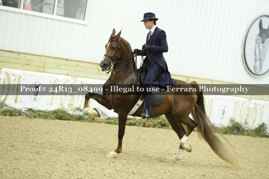 Proof Number 24R13_08499