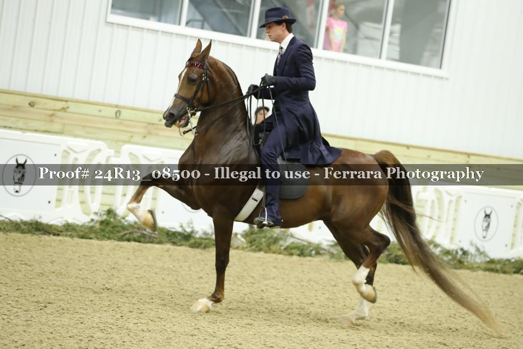 Proof Number 24R13_08500
