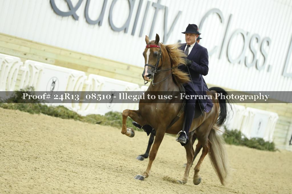 Proof Number 24R13_08510