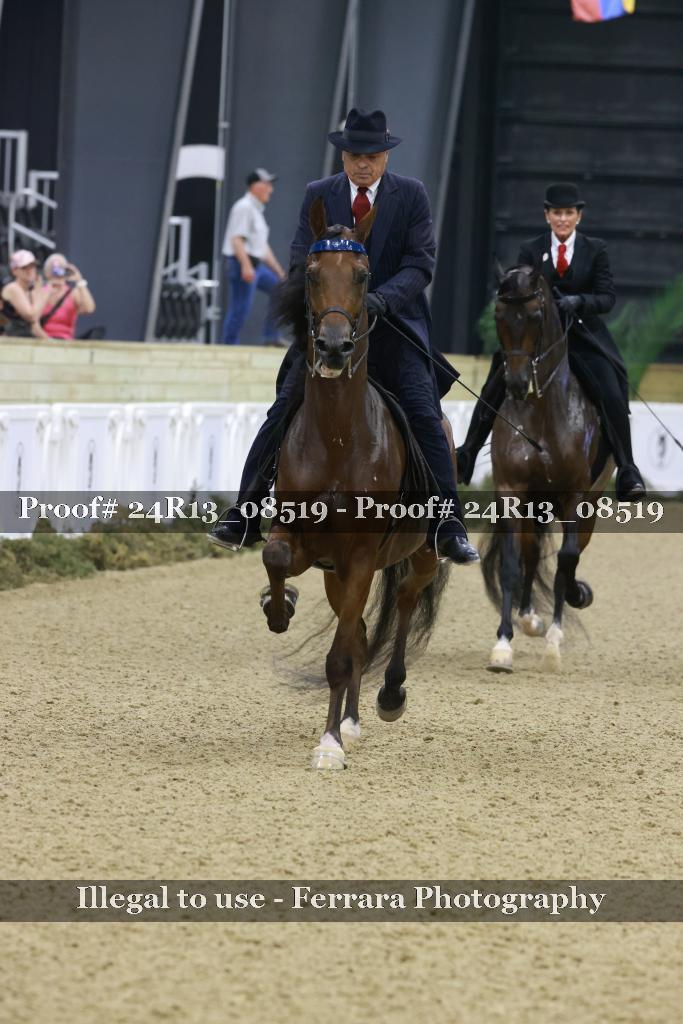 Proof Number 24R13_08519