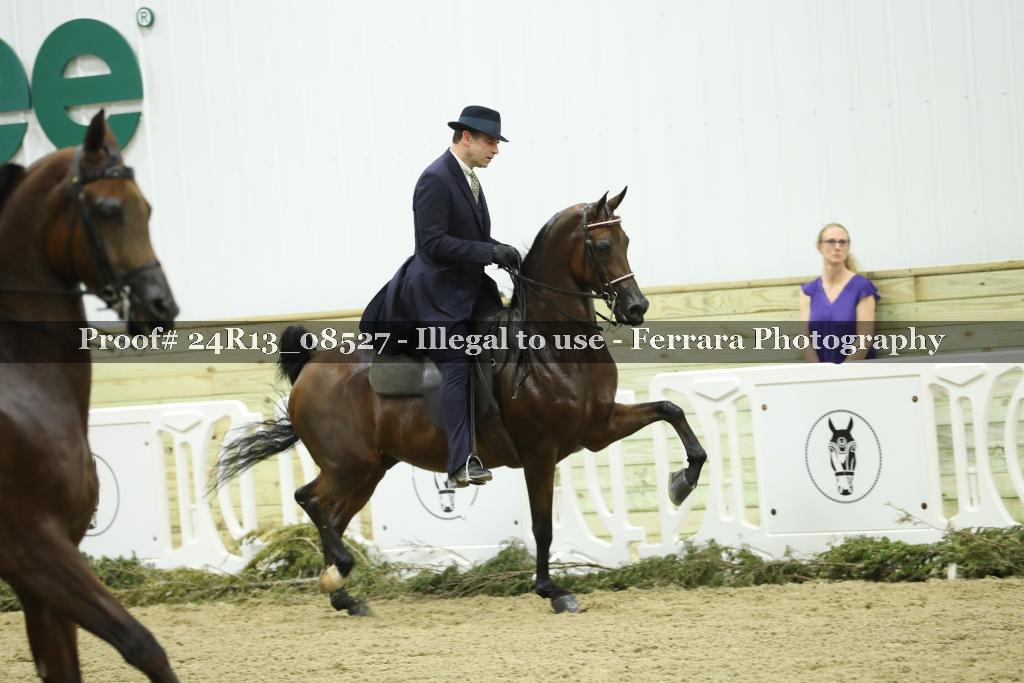 Proof Number 24R13_08527