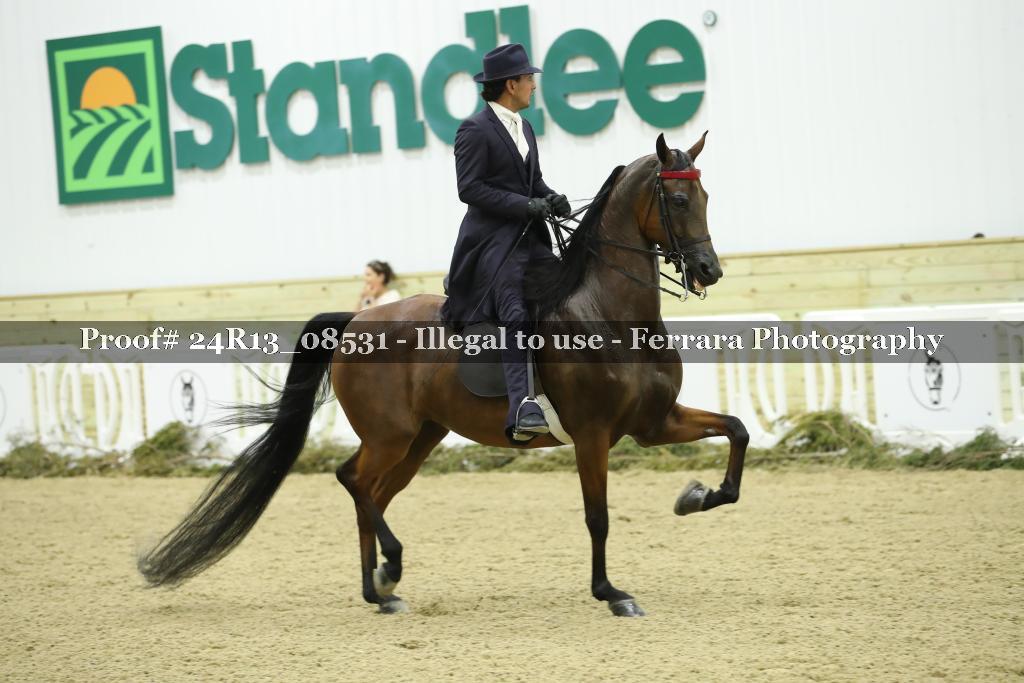 Proof Number 24R13_08531