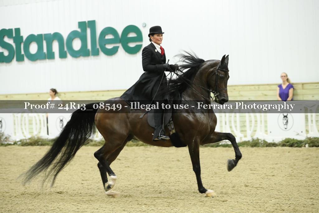 Proof Number 24R13_08549