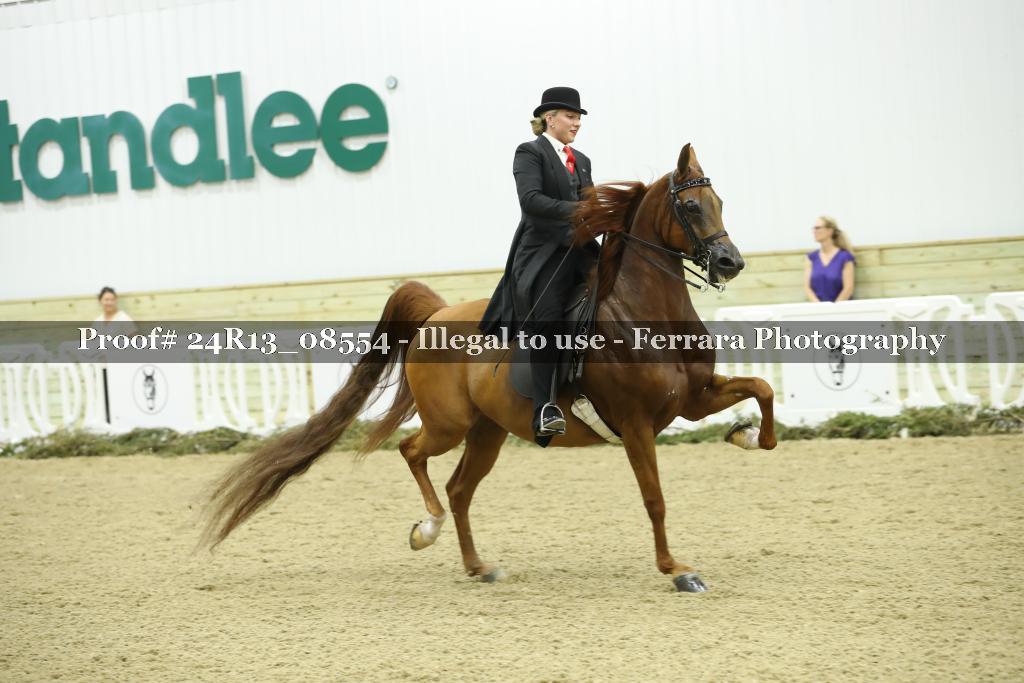 Proof Number 24R13_08554