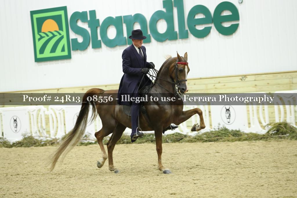 Proof Number 24R13_08556
