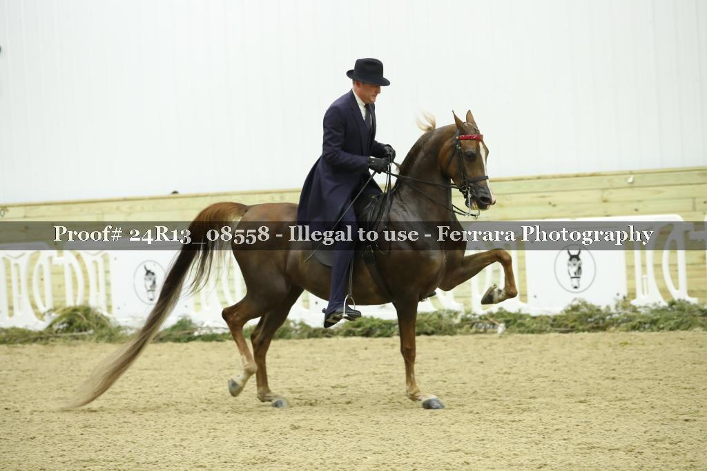 Proof Number 24R13_08558