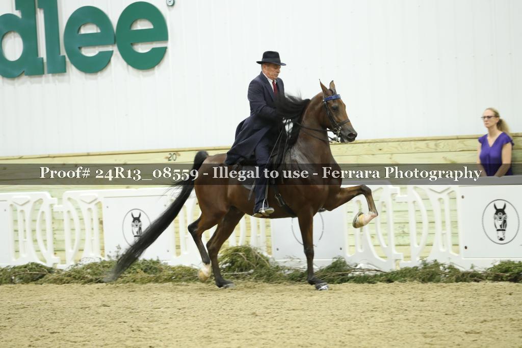 Proof Number 24R13_08559