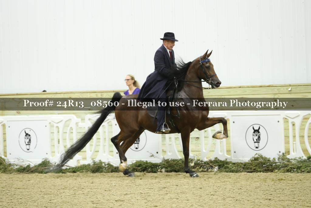 Proof Number 24R13_08560