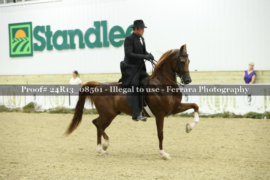 Proof Number 24R13_08561