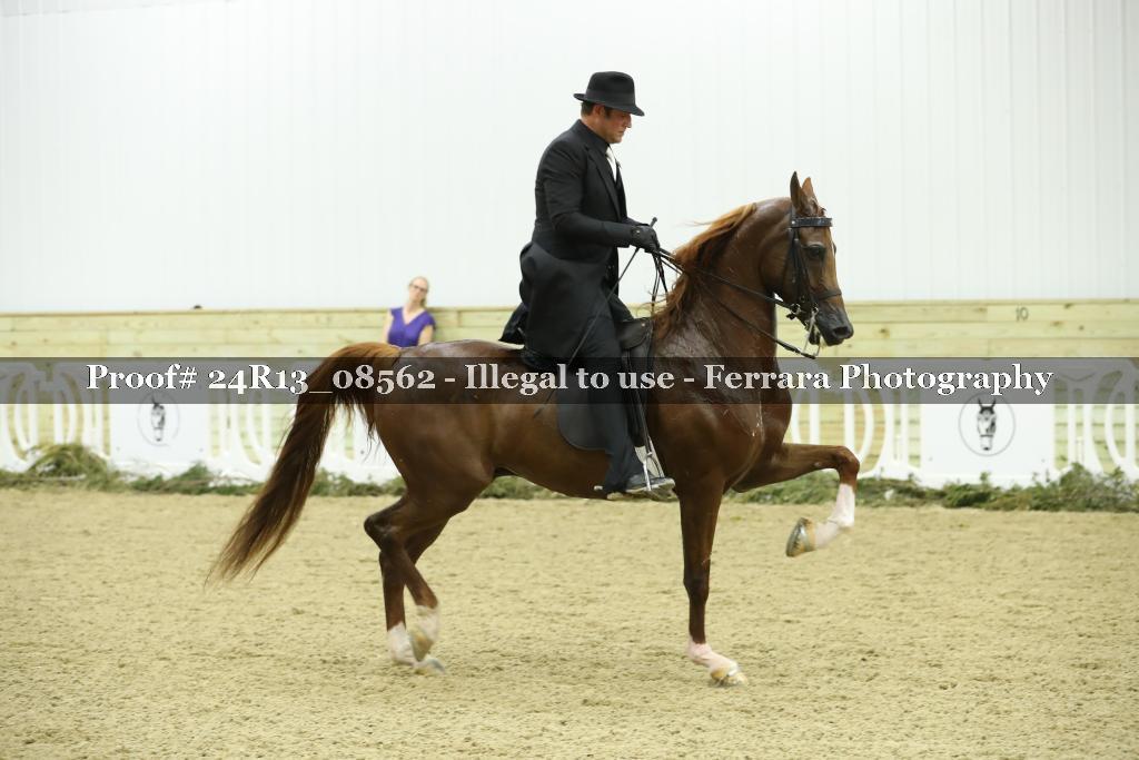 Proof Number 24R13_08562