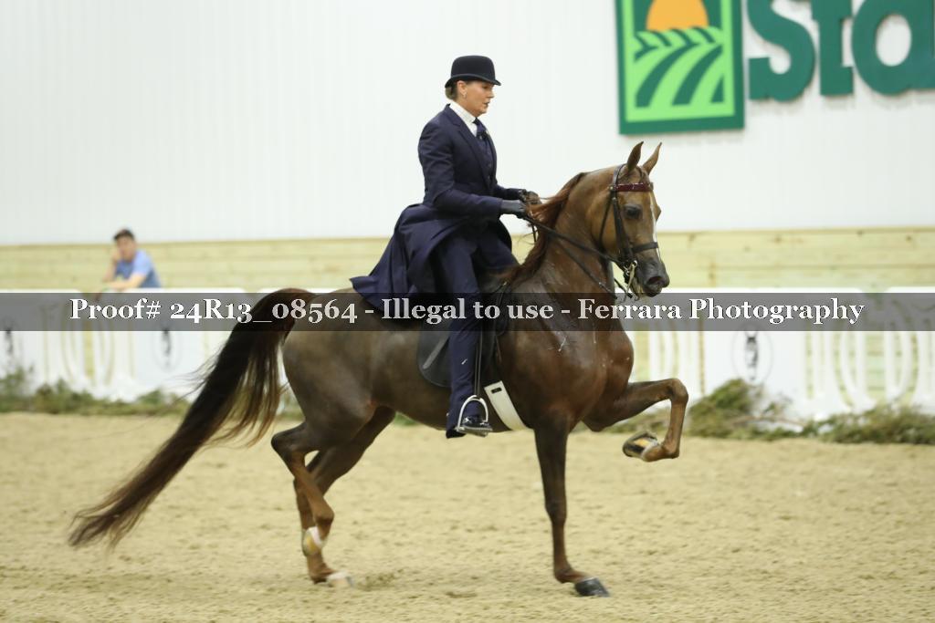 Proof Number 24R13_08564