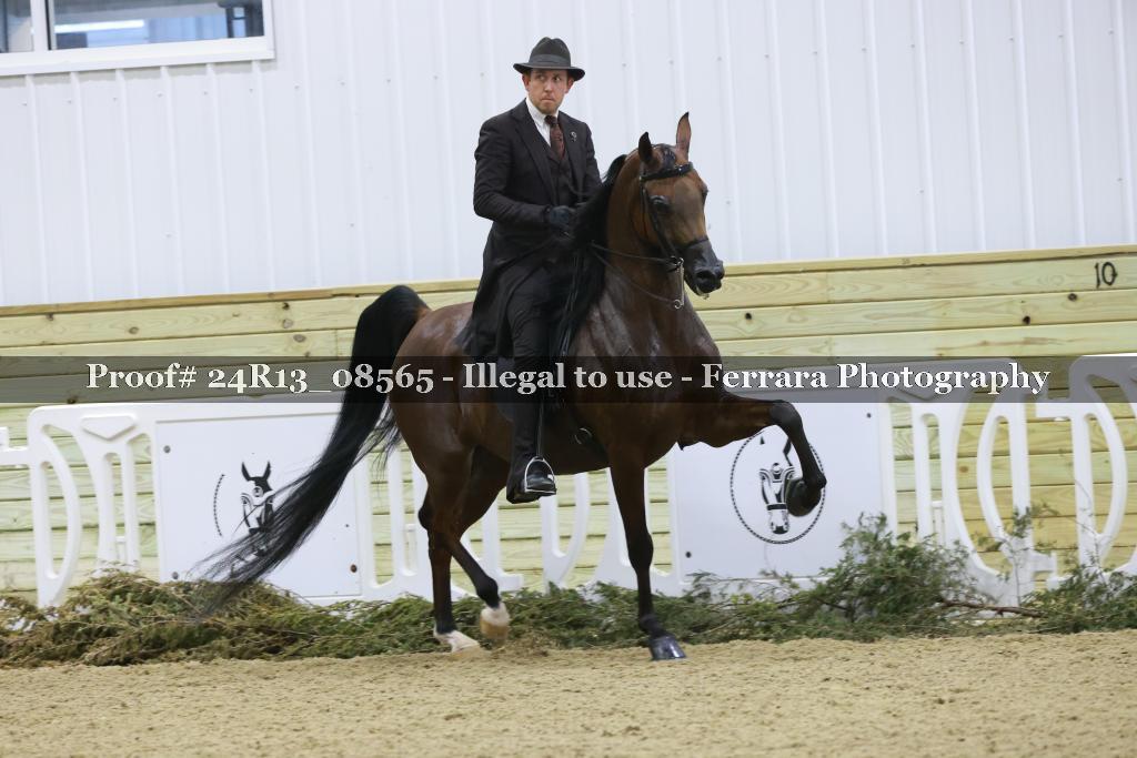 Proof Number 24R13_08565