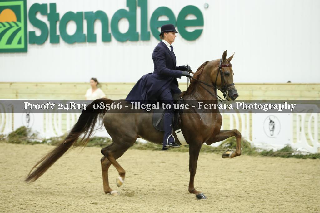 Proof Number 24R13_08566