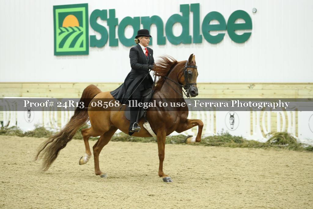 Proof Number 24R13_08568