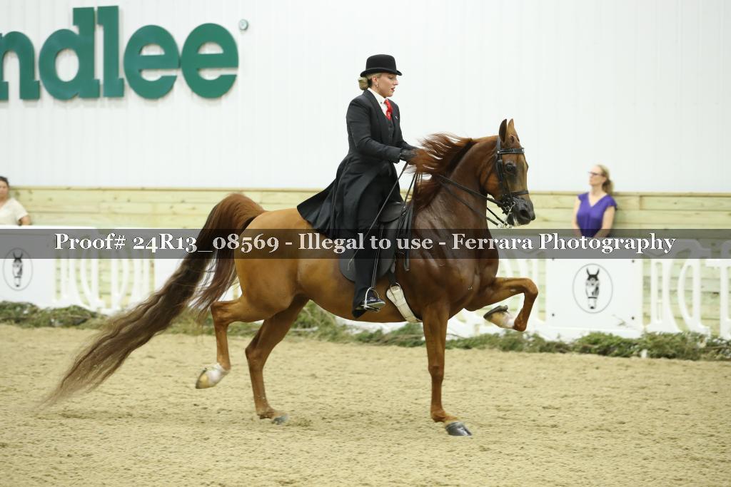 Proof Number 24R13_08569