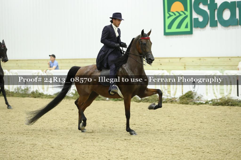 Proof Number 24R13_08570