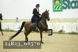 24R13_08570 thumbnail