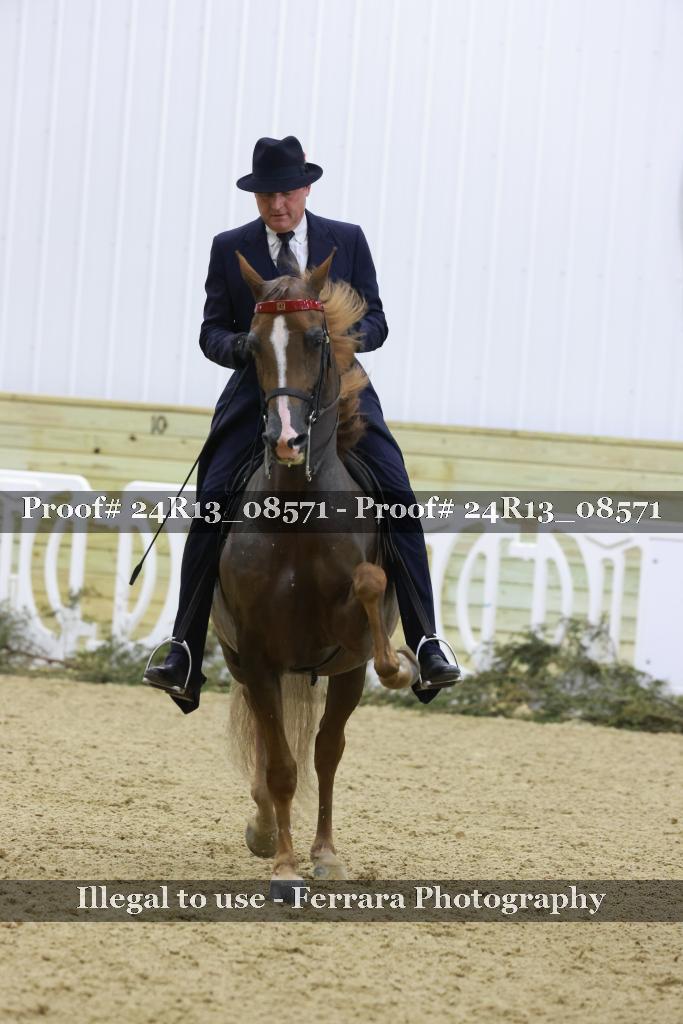 Proof Number 24R13_08571