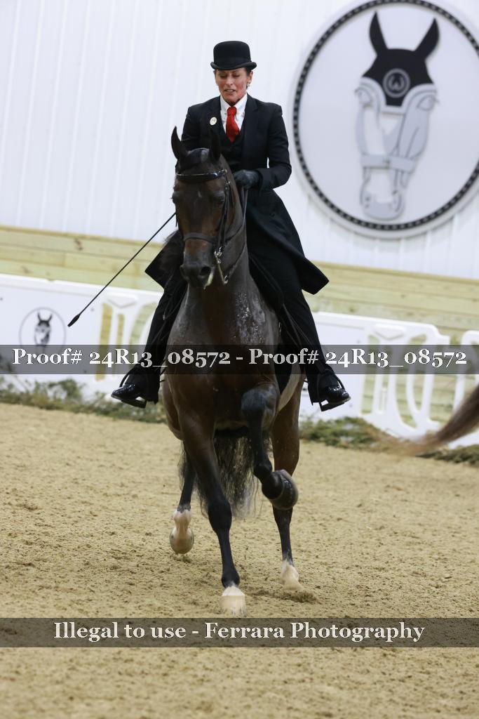 Proof Number 24R13_08572