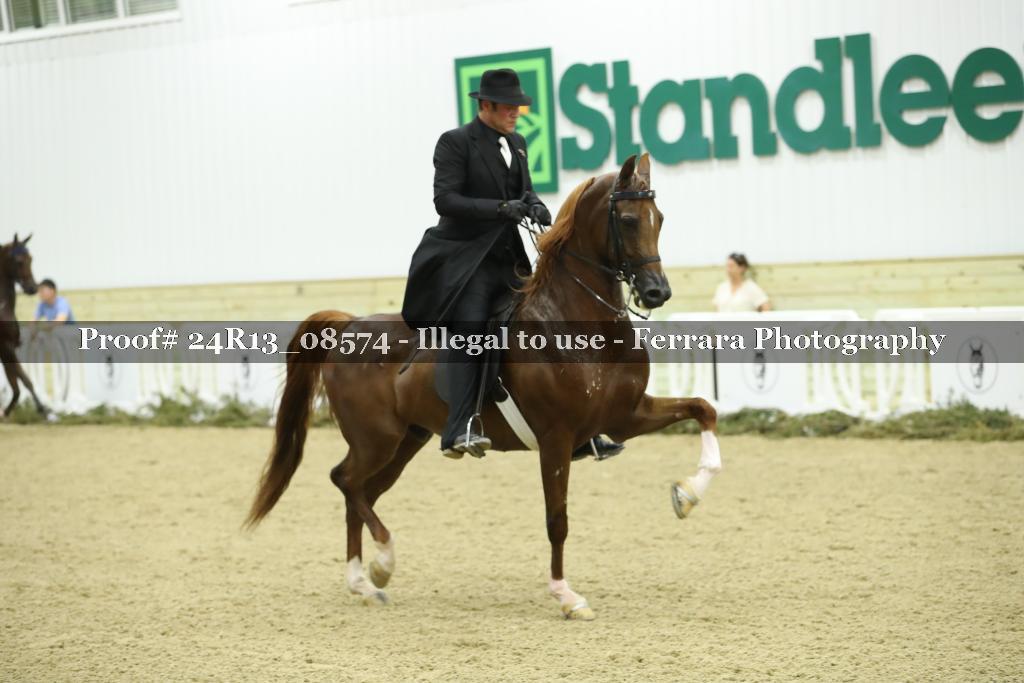 Proof Number 24R13_08574