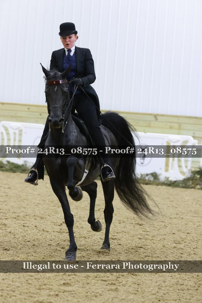 Proof Number 24R13_08575