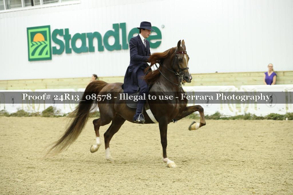 Proof Number 24R13_08578