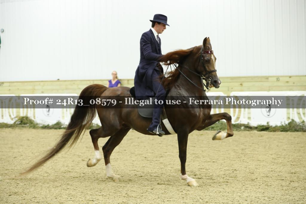 Proof Number 24R13_08579