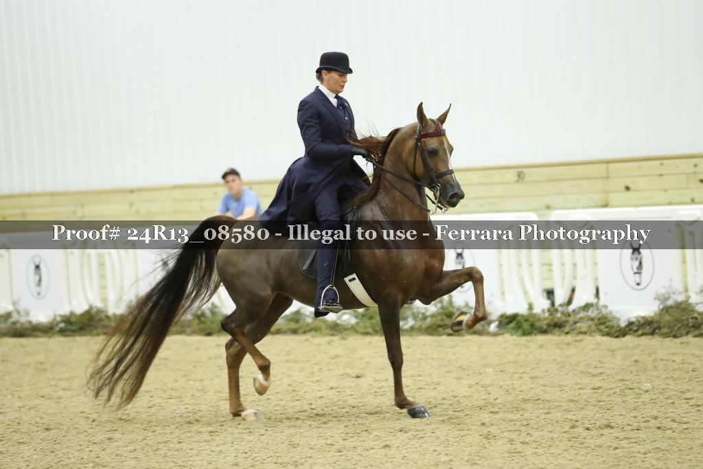 Proof Number 24R13_08580