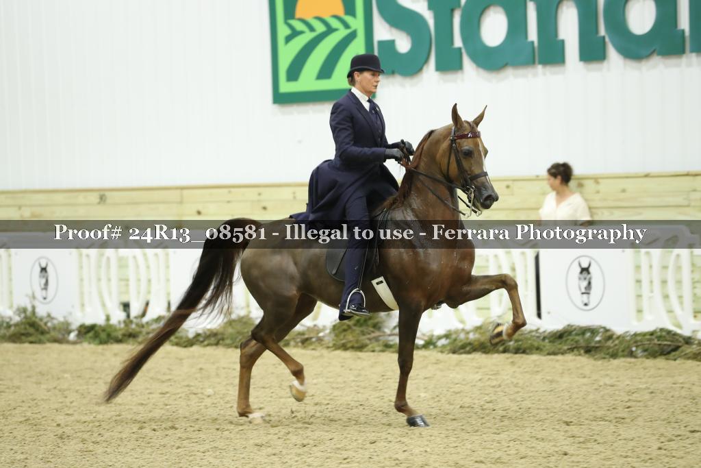 Proof Number 24R13_08581